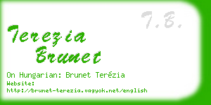 terezia brunet business card